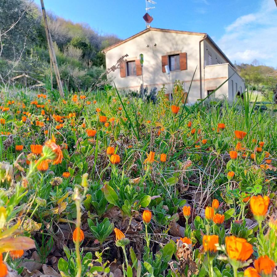 Ca'Rosei Apartment Monteciccardo ภายนอก รูปภาพ